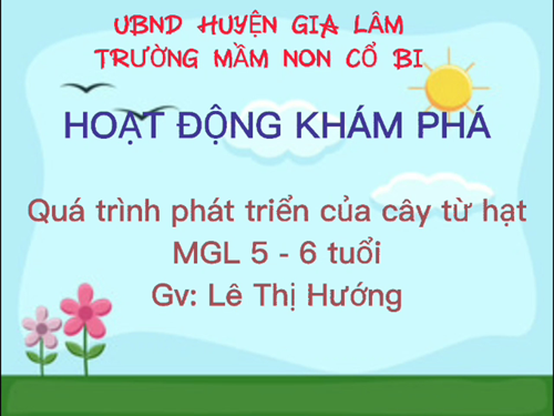 Khám phá: quá trình phât trien của cây từ hạt
